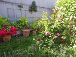 le coin de Ginette