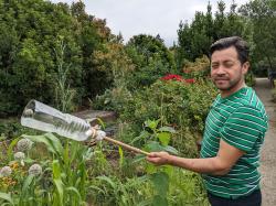 Leo prépare la gaule, une cueillette à la colombienne